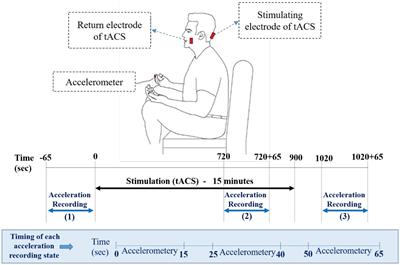 Modeling of cerebellar transcranial electrical stimulation effects on hand tremor in Parkinson’s disease